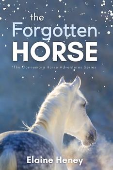 The Forgotten Horse - Book 1 in the Connemara Horse Adventure Series for Kids. The perfect gift for children age 8-12. (Connemara Adventures, Band 1)