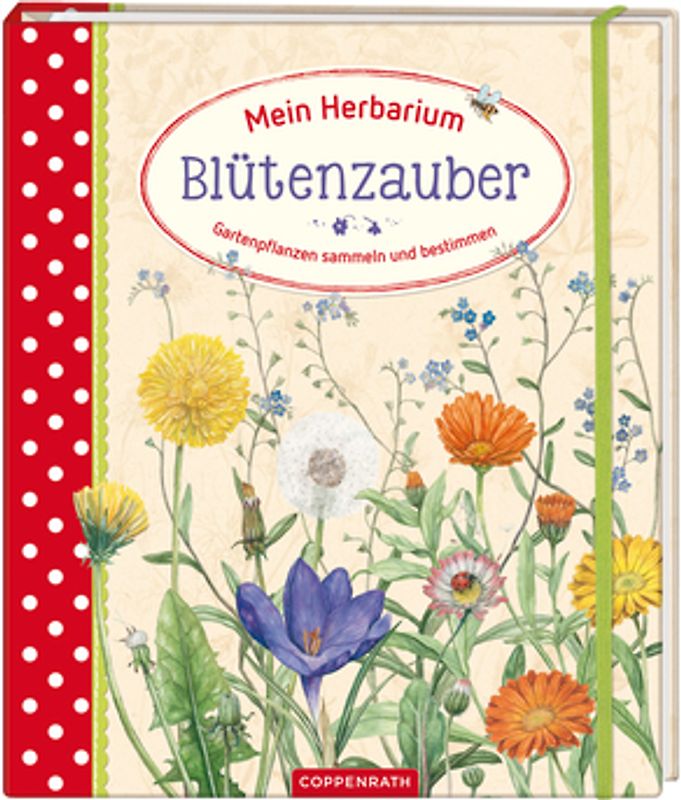 Mein Herbarium: Blütenzauber