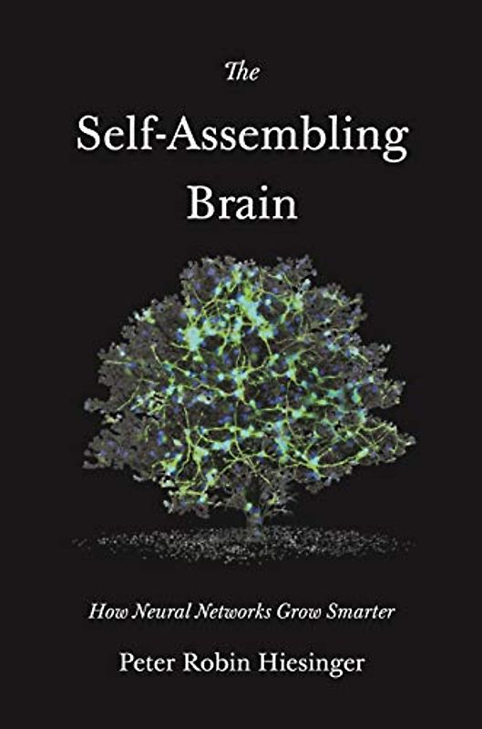 The Self-Assembling Brain - How Neural Networks Grow Smarter
