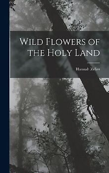 Wild Flowers of the Holy Land