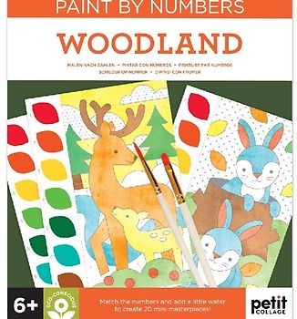 Paint by Numbers: Woodland