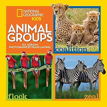 Animal Groups (Animals)