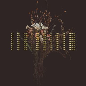 MacDougall,Sarah - All The Hours I Have Left To Tell You Anything