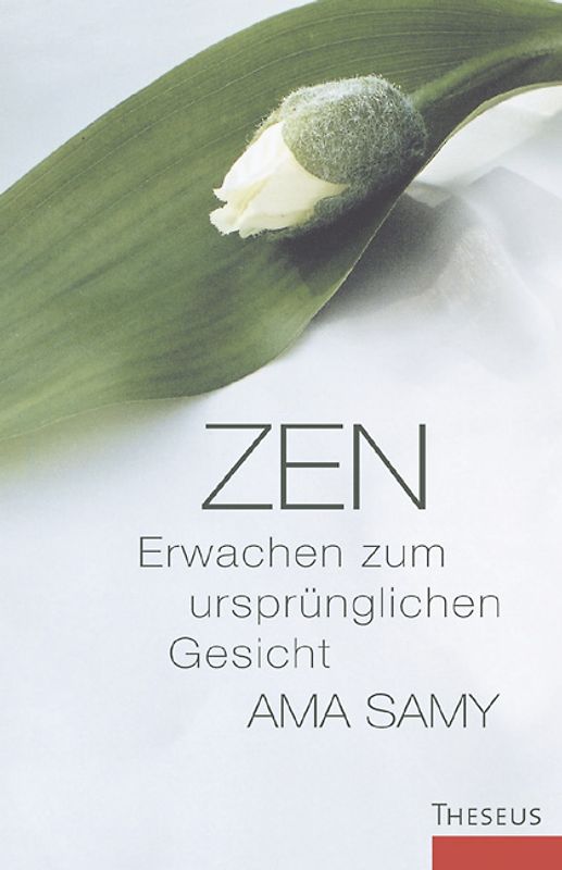 Zen - Erwachen zum ursprünglichen Gesicht