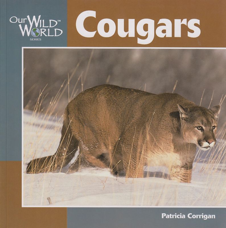 Cougars - Patricia Corrigan [Paperback]