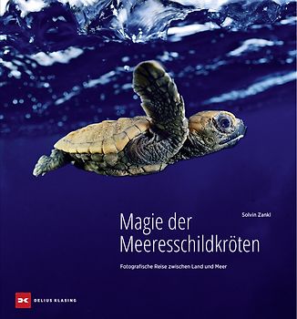 Magie der Meeresschildkröten