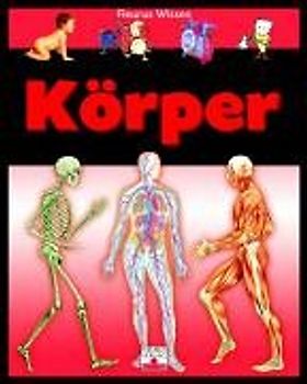 Körper