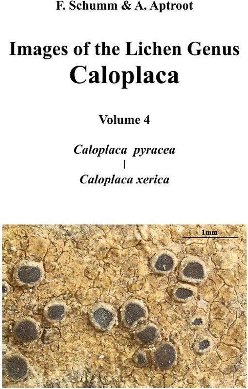Images of the Lichen Genus Caloplaca, Vol4