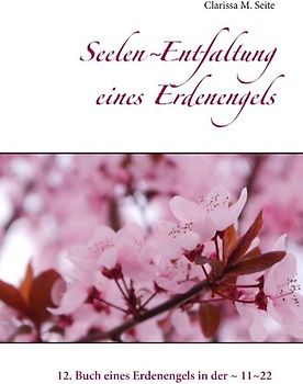 Seelen~Entfaltung eines Erdenengels