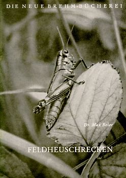 Feldheuschrecken