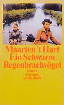 Ein Schwarm Regenbrachvögel