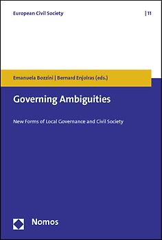 Governing Ambiguities