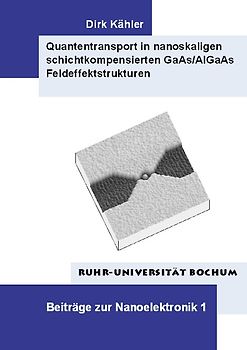 Quantentransport in nanoskaligen schichtkompensierten GaAs/AlGaAs Feldeffektstrukturen