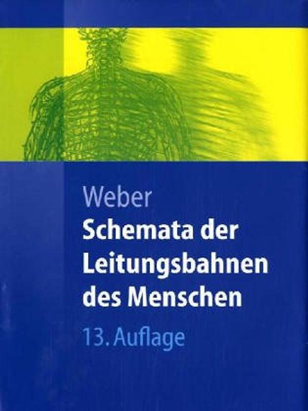 Schemata der Leitungsbahnen des Menschen