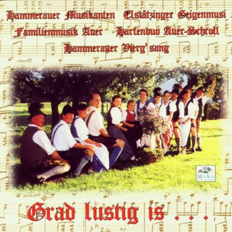 Hammerauer Musikanten - Grad Lustig Is...