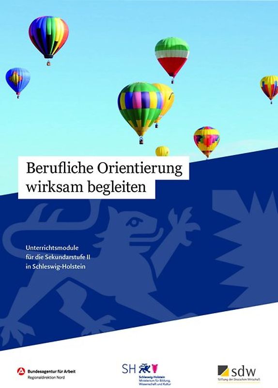 Berufliche Orientierung wirksam begleiten