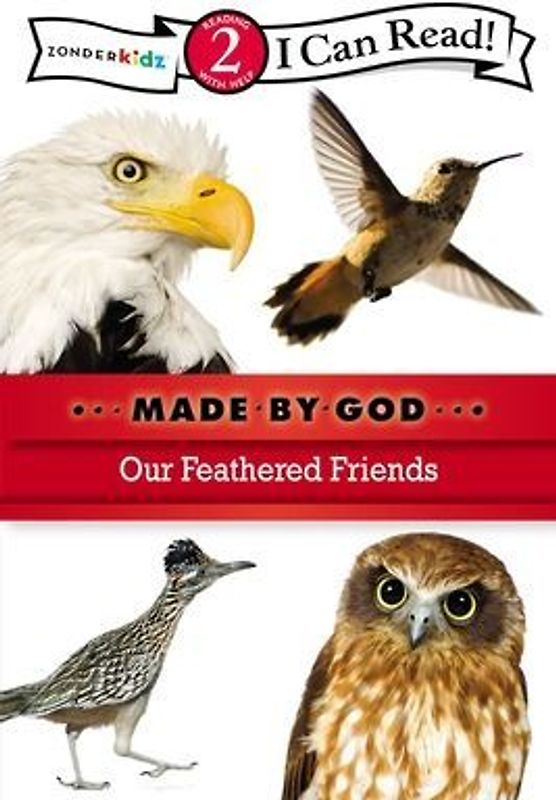 Our Feathered Friends