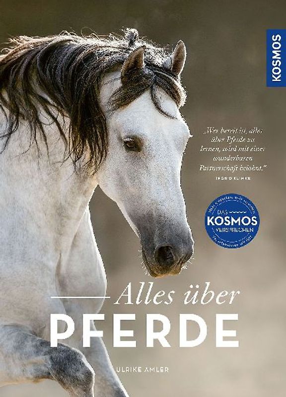 Alles über Pferde