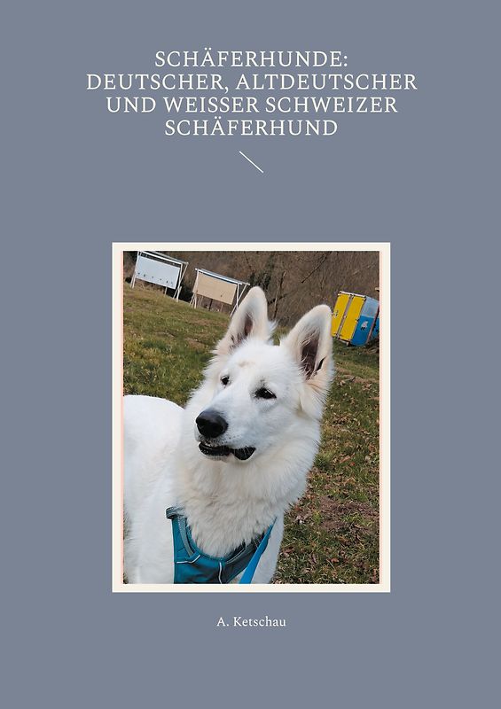 Schäferhunde: Deutscher, Altdeutscher und Weißer Schweizer Schäferhund