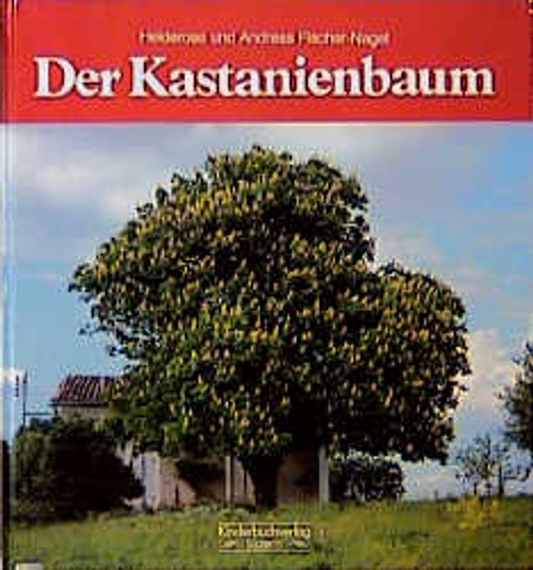 Der Kastanienbaum