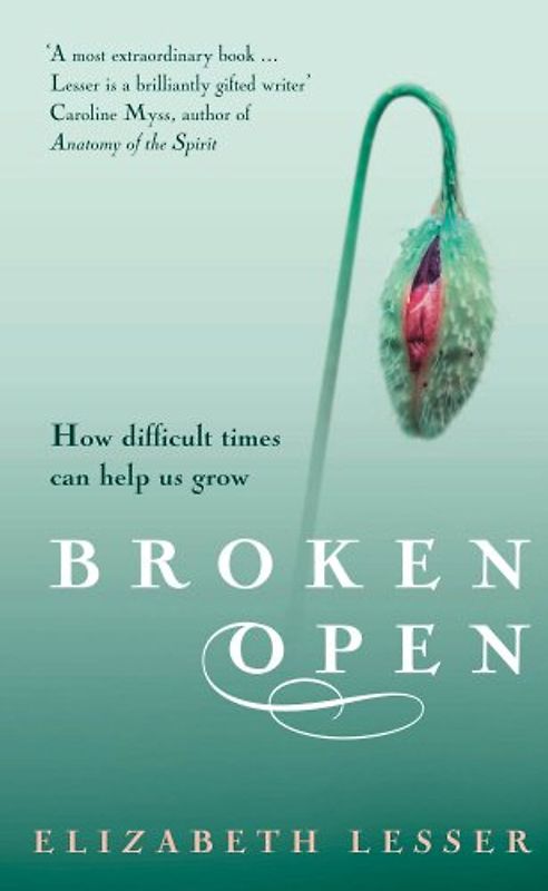Broken Open: How Difficult Times Can Help Us Grow - Elizabeth Lesser