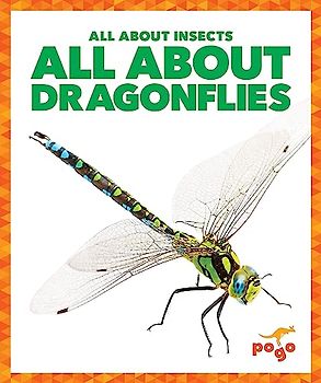 All about Dragonflies