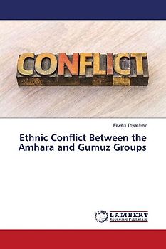 Ethnic Conflict Between the Amhara and Gumuz Groups