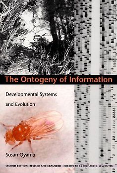 The Ontogeny of Information