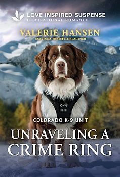 Unraveling a Crime Ring