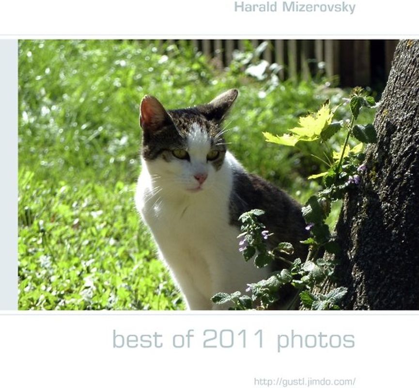best of 2011 photos