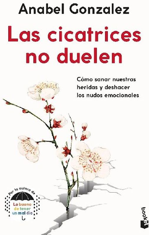 Las cicatrices no duelen