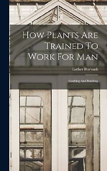 How Plants Are Trained To Work For Man: Grafting And Budding