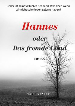 Hannes oder Das fremde Land