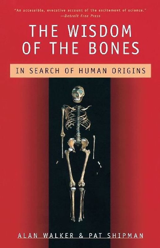 The Wisdom of the Bones