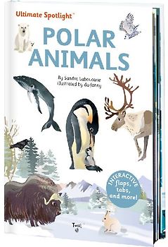 Ultimate Spotlight: Polar Animals