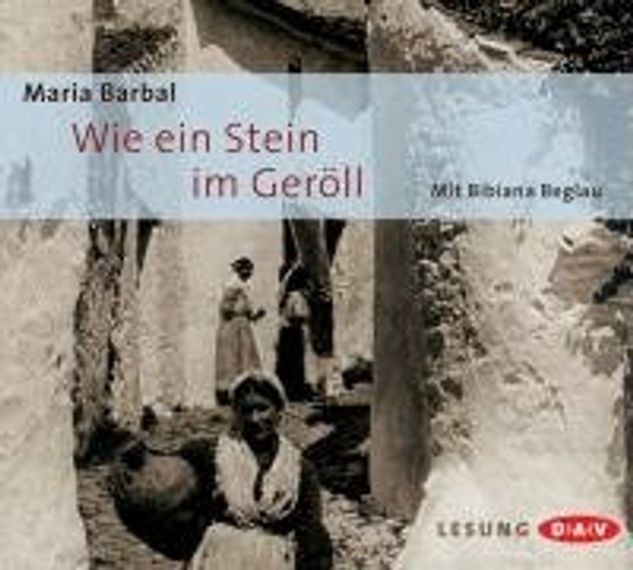 Wie ein Stein im Geröll (2 CDs)