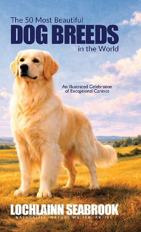 The 50 Most Beautiful Dog Breeds in the World