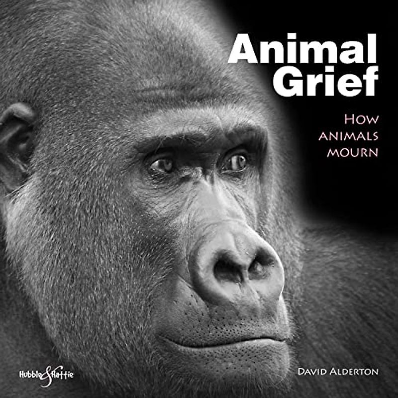 Animal Grief: How Animals Mourn