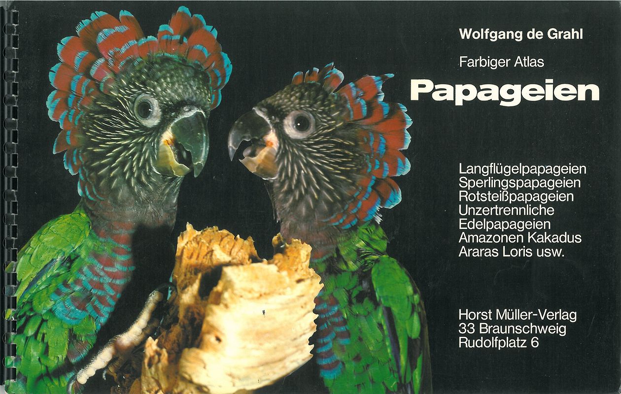 Farbiger Atlas Papageien