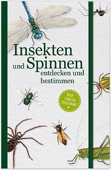 Insekten und Spinnen entdecken und bestimmen
