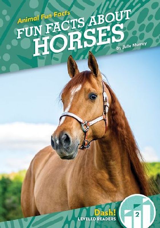 Fun Facts about Horses