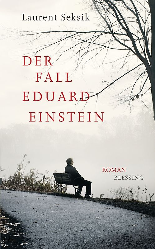 Der Fall Eduard Einstein. Roman