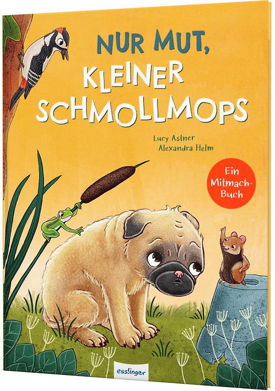 Nur Mut, kleiner Schmollmops