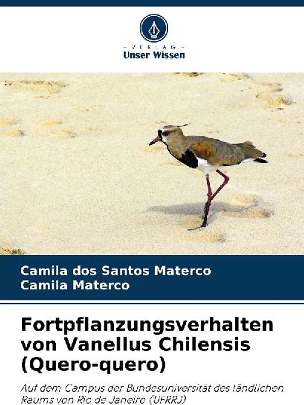 Fortpflanzungsverhalten von Vanellus Chilensis (Quero-quero)
