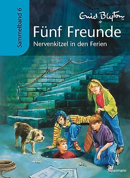 Fünf Freunde - Nevenkitzel in den Ferien