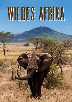 Wildes Afrika (Posterbuch DIN A3 hoch)