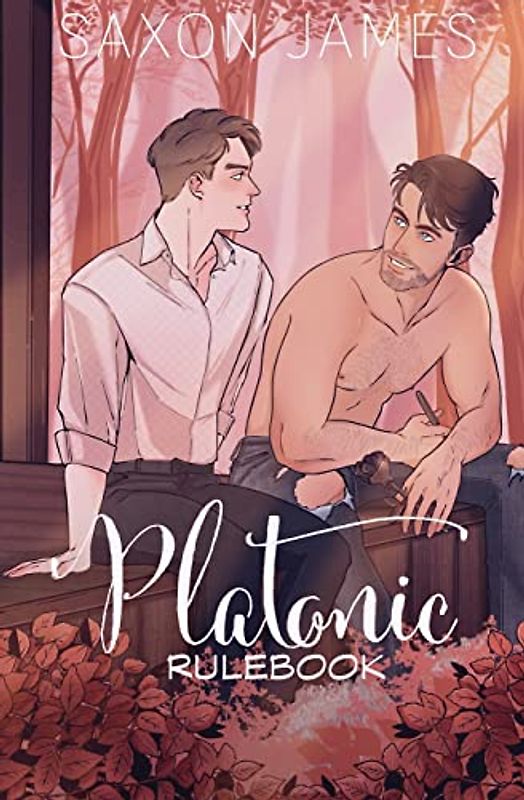 Platonic Rulebook (Divorced Men's Club, Band 2)