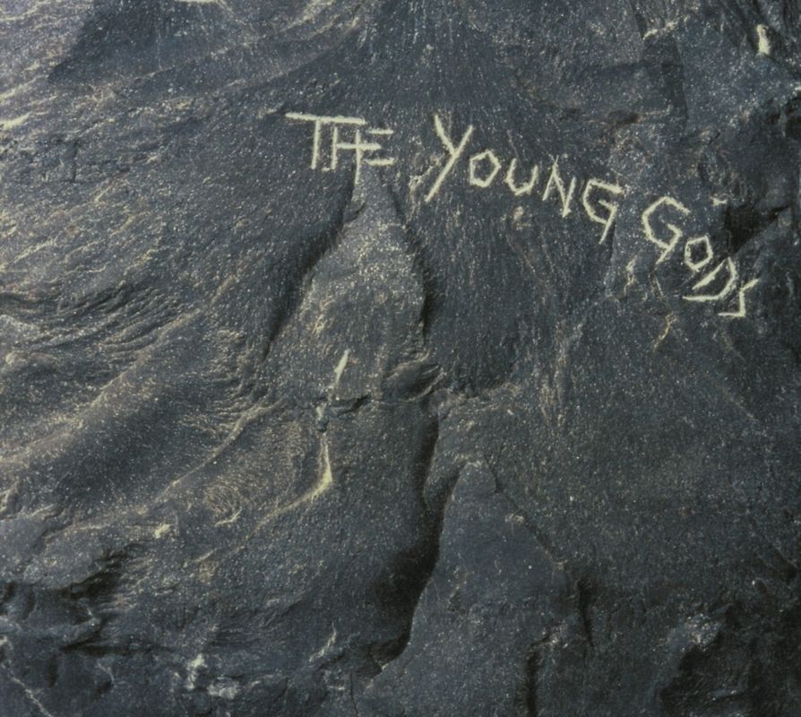Young Gods,the - The Young Gods (Deluxe Edition)