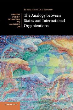 The Analogy between States and International Organizations