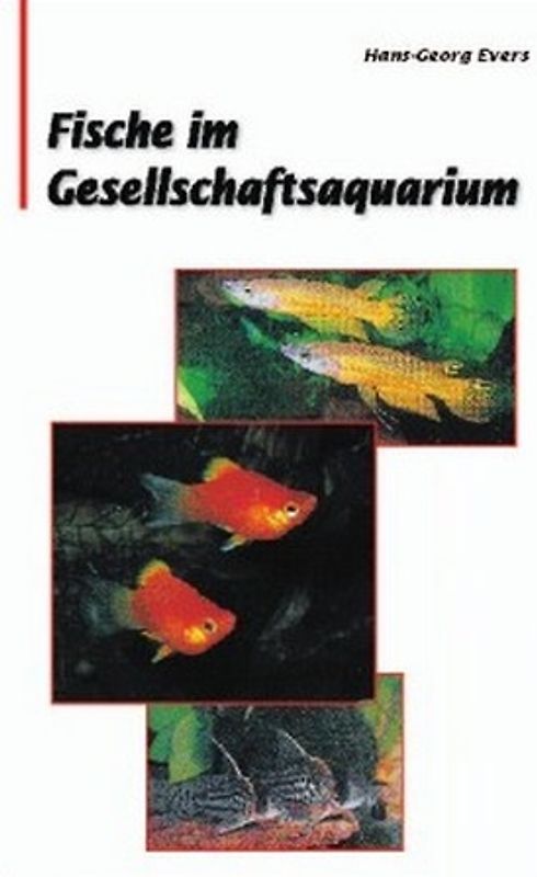 Fische im Gesellschaftsquarium